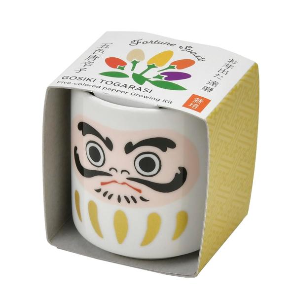 V| GD-91502 ł傱 B  ܐFƂ炵͔|Zbg