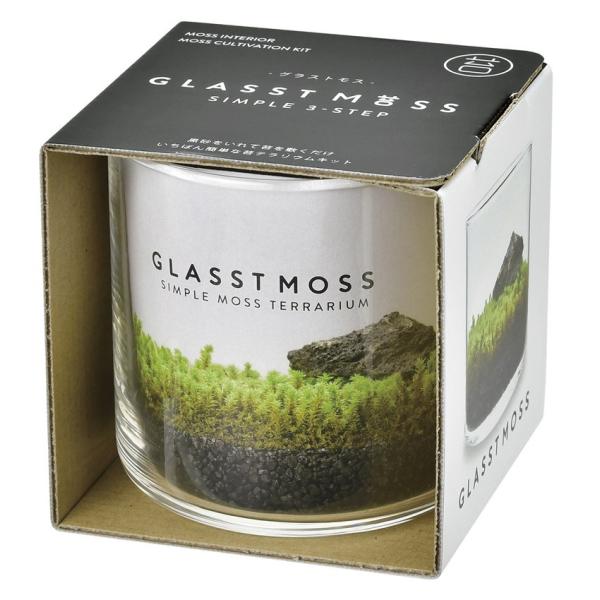 V| GD-934 OXgXL ۃeE RP ͔|Zbg  ϗtA K[fjO CeA