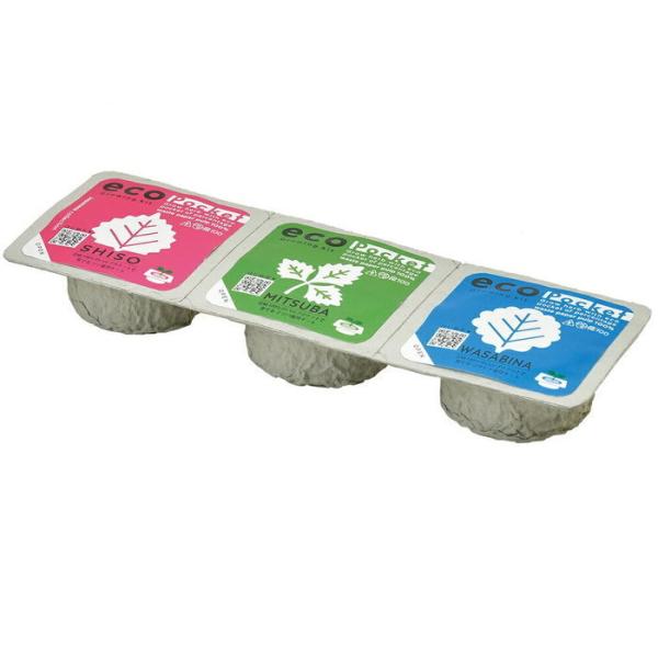 V| GD-95202 GR|Pbg Wpj[YRNV EOtE킳э 3ނ̐AĂ͔|