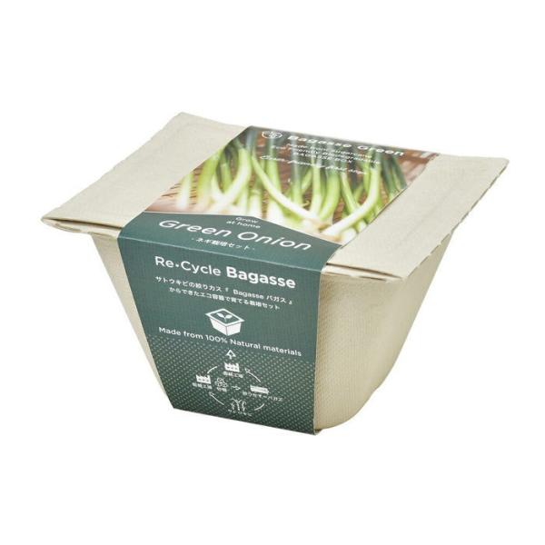 V| GD-95305 oKXO[ lM GReňĂ؍͔|Zbg  ϗtA K[fjO