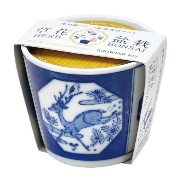 染付小紋 草花BONSAI シカ クリサンセマム GD-102203 聖新陶芸 ギフト 栽培セット ガーデニング 盆栽 母の日 父の日