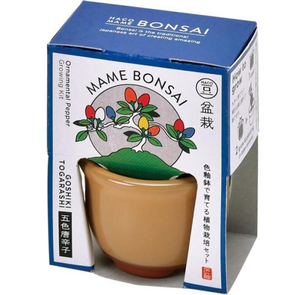 他サイト： HACO MAME 盆栽栽培セット 五色とうがらし GD-96504 聖新陶芸 ギフト 栽培セット ガーデニング 母の日 父の日の商品画像