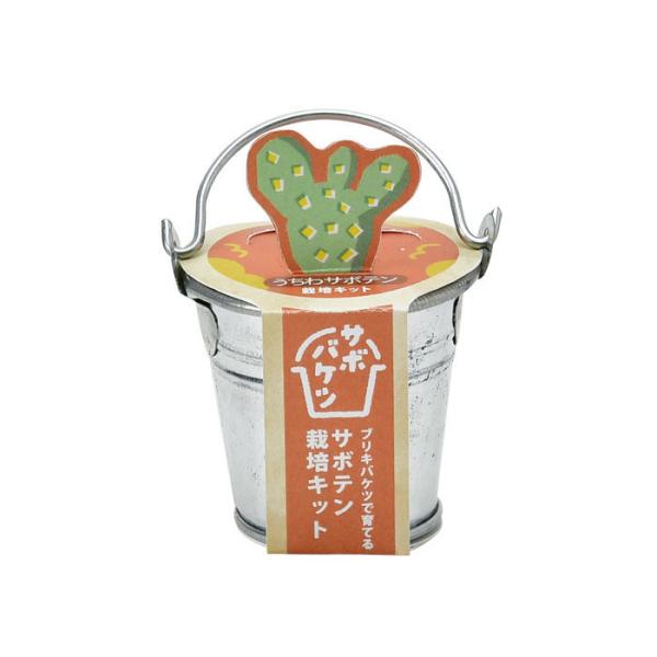 さぼてんページ グラフィック社