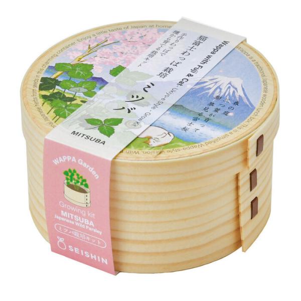 猫富士わっぱ ミツバ GD-105001 聖新陶芸 ギフト 栽培セット ガーデニング 母の日 父の日