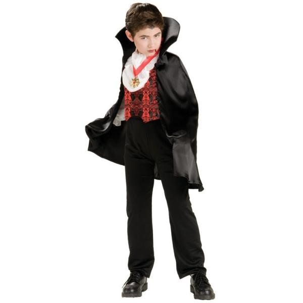 q gV@jA @pCA S 100-120cmΉ j̎q  nEB RXv ߑ RX`[ HWZ