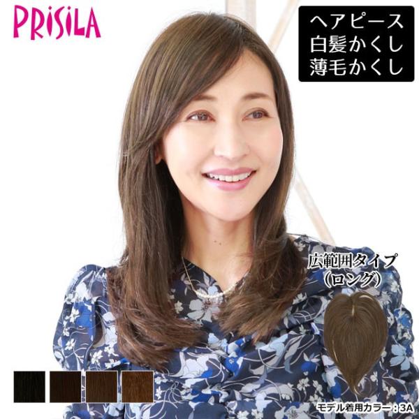 ヘアピース耐熱 白髪隠しウィッグ 広範囲ストレートロングタイプ ウイッグ St 008 薄毛隠し カバーピース St 008 ウィッグランド 通販 Yahoo ショッピング