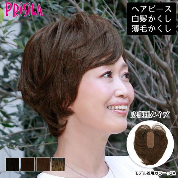 ヘアピース耐熱 プレミアム白髪隠しウィッグ (広範囲ナチュラルショートタイプ) ウイッグ ST-009 薄毛隠し カバーピース 部分手植え シルクスキン