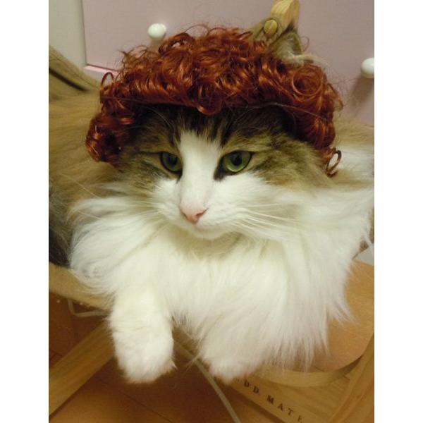 ڏi IWi p @L@ybgEBbO  RX`[@ P-001