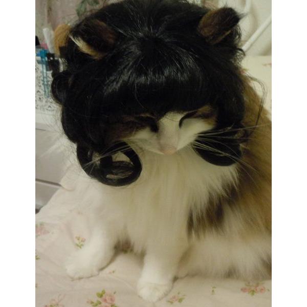 ڏi IWi p @L@ybgEBbO  RX`[@ P-006