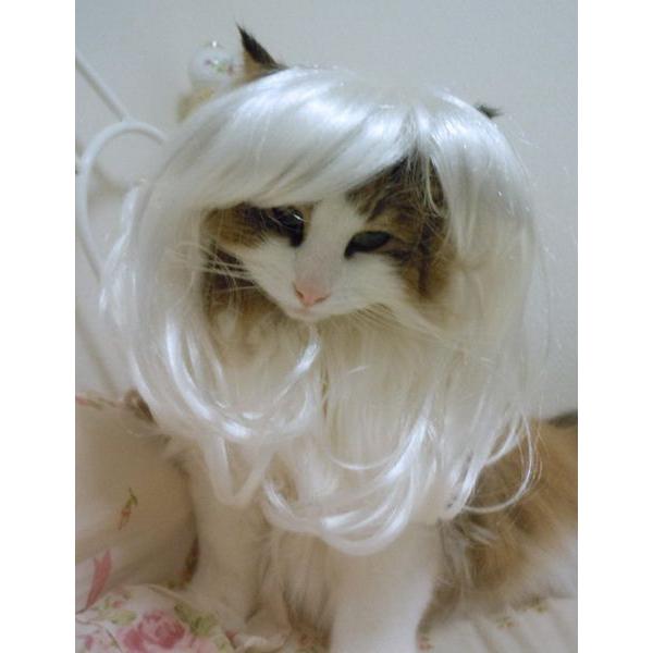 ڏi IWi p @L@ybgEBbO  RX`[@ P-008