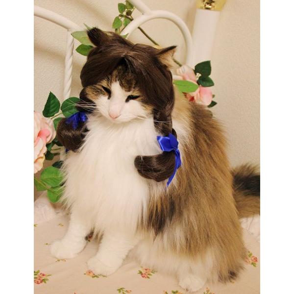 ڏi IWi p @L@ybgEBbO  RX`[@ P-018