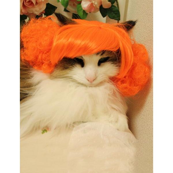 ڏi IWi p @L@ybgEBbO  RX`[@ P-019