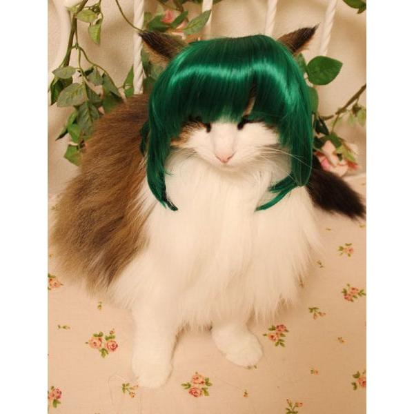 ڏi IWi p @L@ybgEBbO  RX`[@ P-021