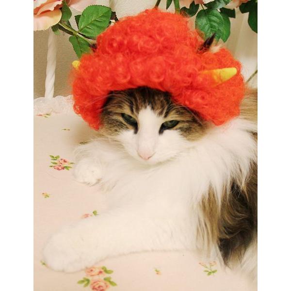 ڏi IWi p @L@ybgEBbO  RX`[@ P-022