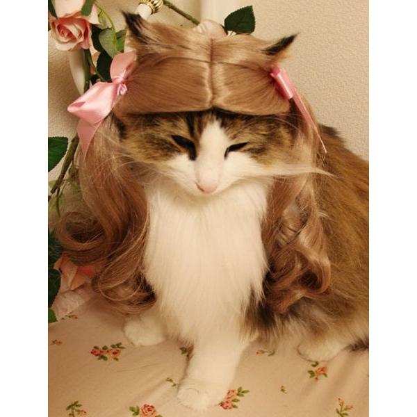 ڏi IWi p @L@ybgEBbO  RX`[@ P-023