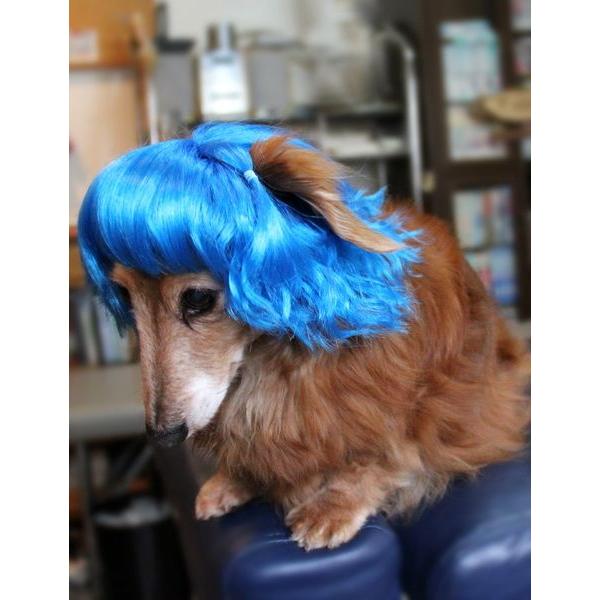 ڏi IWi p @L@ybgEBbO  RX`[@ P-025