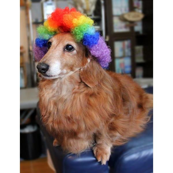 ڏi IWi p @L@ybgEBbO  RX`[@ P-026