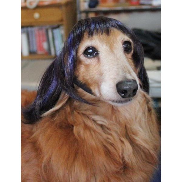 ڏi IWi p @L@ybgEBbO  RX`[@ P-034