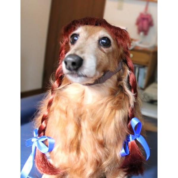 ڏi IWi p @L@ybgEBbO  RX`[@ P-036