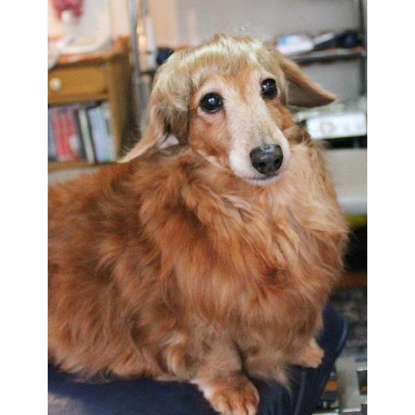 ڏi IWi p @L@ybgEBbO  RX`[@ P-038