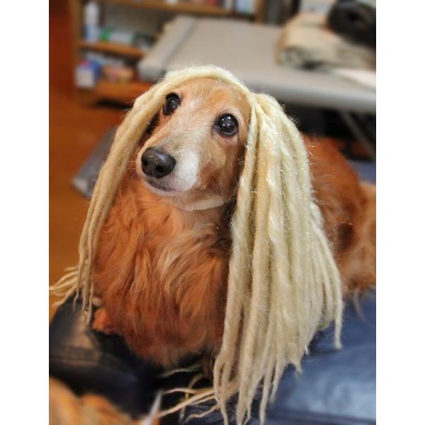 ڏi IWi p @L@ybgEBbO  RX`[@ P-040