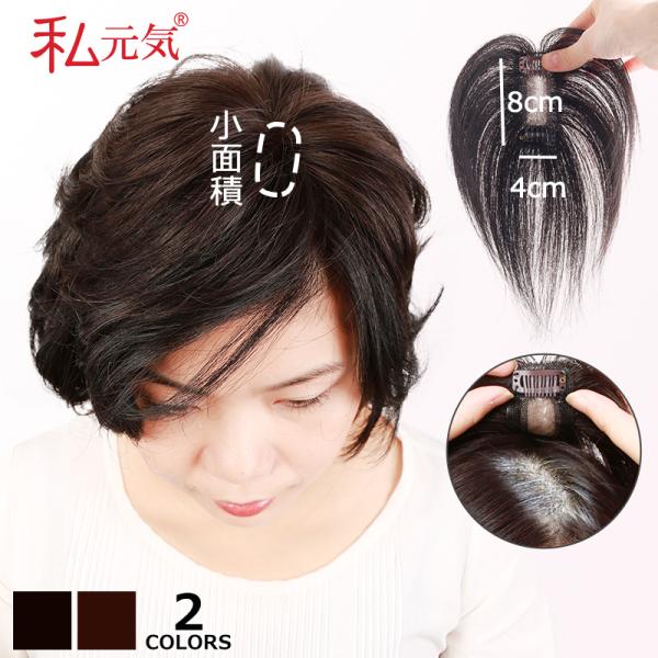 100 ウィッグ 人毛の通販 価格比較 価格 Com