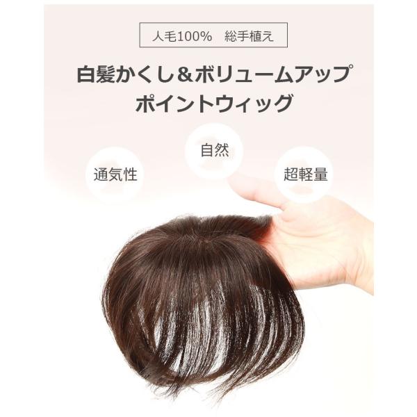 部分ウィッグ 頭頂部 人毛100 自然 白髪隠し 総手植え 私元気 Bha48 Buyee Buyee Japanese Proxy Service Buy From Japan Bot Online