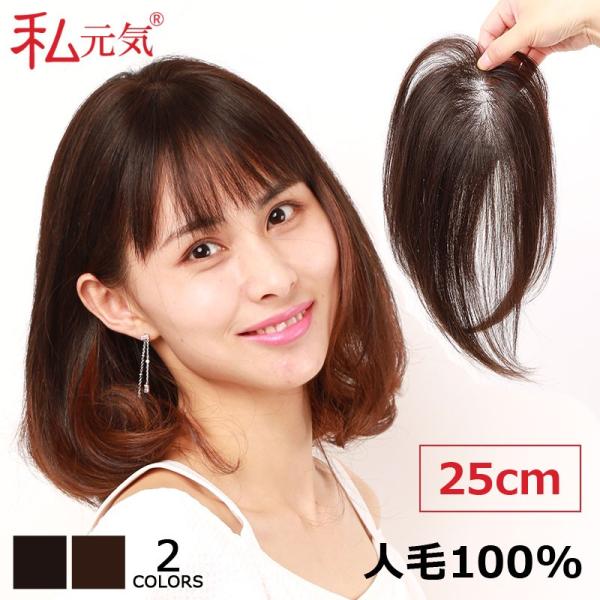 正式的 人毛100％ 部分ウィッグ ヘアピース 超軽量 蒸れにくい 装着