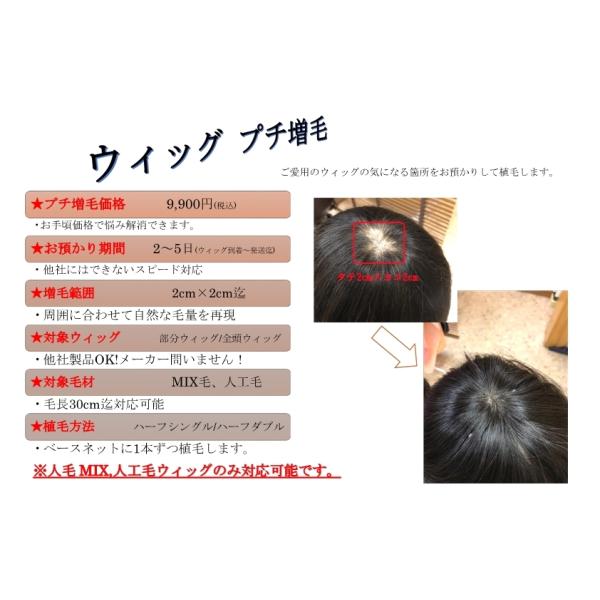 ウィッグ　プチ増毛