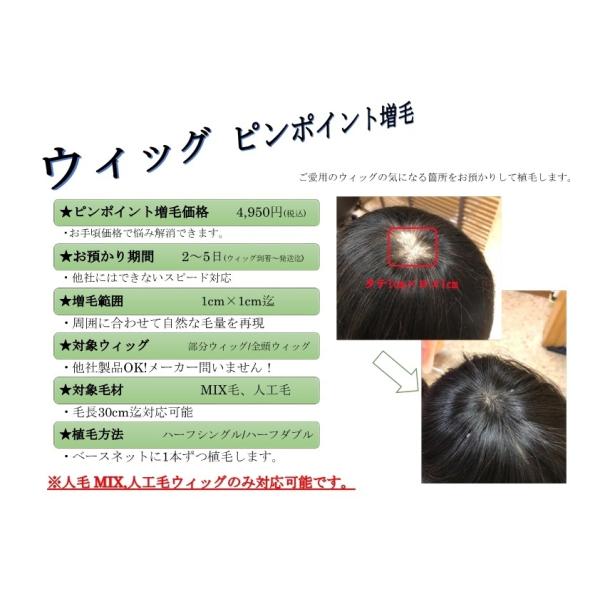 ウィッグ　ピンポイント増毛