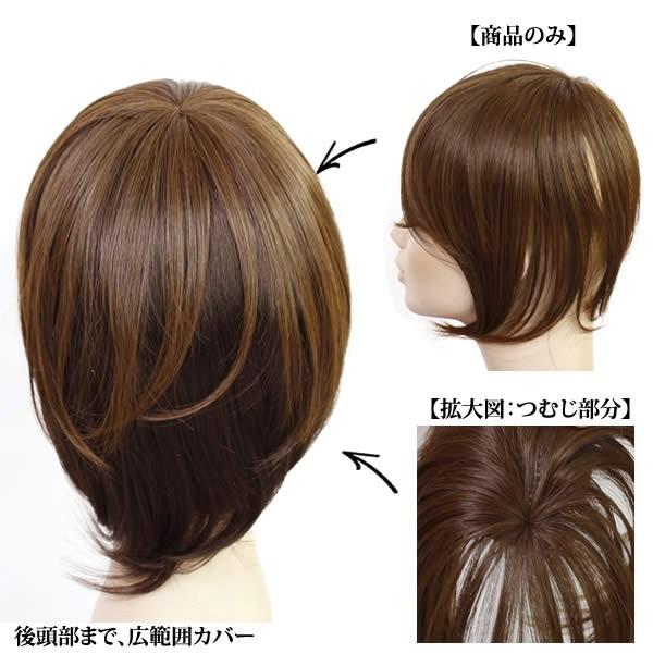 前髪 ウィッグ ヘアピース 耐熱 ストレート 送料無料 かつら 部分ウィッグ ポイントウィッグ つむじカバー 人気 lw06 lw06