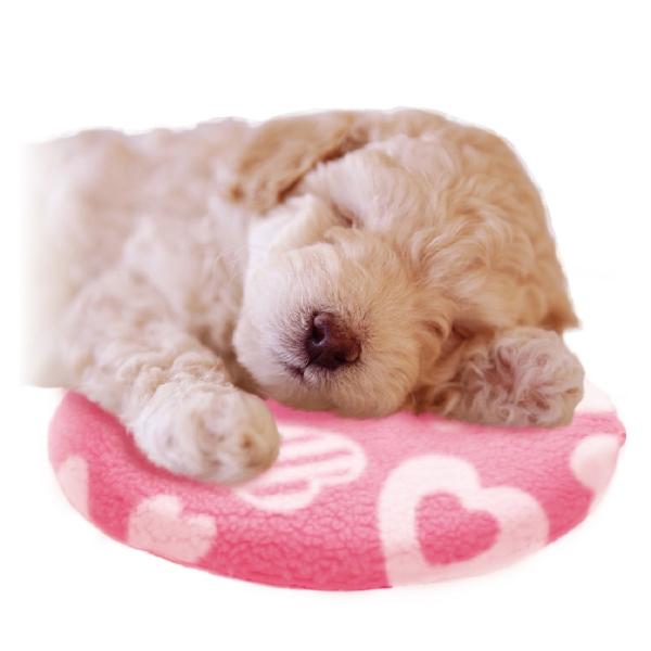 遠赤外線 レンジでチンしてぽっかぽかドギーマン 秋冬 犬猫 対応 ヒーター 湯たんぽ Buyee Buyee 提供一站式最全面最专业现地yahoo Japan拍卖代bid代拍代购服务 Bot Online
