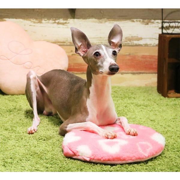 遠赤外線 レンジでチンしてぽっかぽかドギーマン 秋冬 犬猫 対応 ヒーター 湯たんぽ Buyee Buyee Jasa Perwakilan Pembelian Barang Online Di Jepang