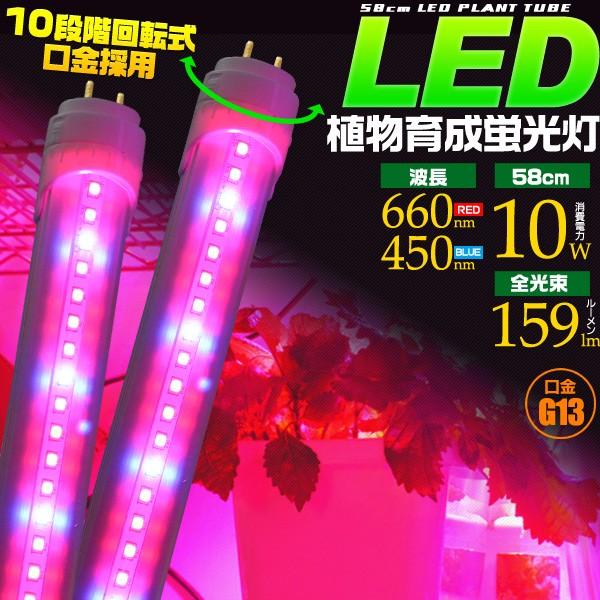10本セット Led植物育成蛍光灯 G13口金 58ｃｍ 消費電力10w Lk059 10 Wil Mart 通販 Yahoo ショッピング