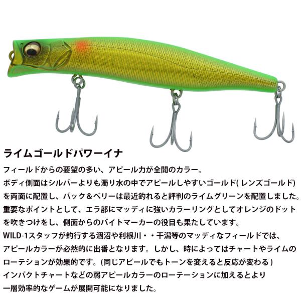 wild1_vj4513473496073_1_d_20251120164754