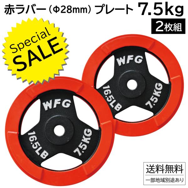 WFG ウエイトプレート 10kg 2枚セット WFG ウエイトプレート 10kg 2枚セット WFG 10KG ダンベル