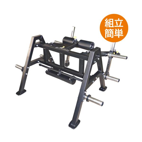 フルボディトレーナー 楽天市場】フルボディトレーナー (Φ50)送料無料 ジム パーソナル