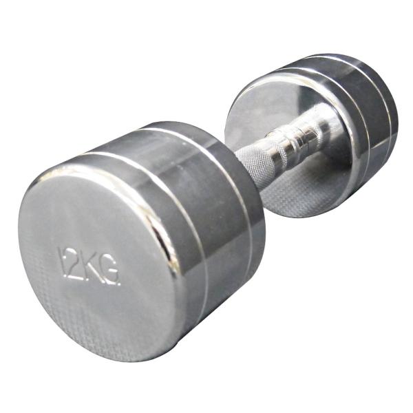 Œ莮N[12kg / ؃g _x SAC N_x EGCgg[jO ̊g[jO Œ莮 N[ 12kg ChtBbg WILD FIT