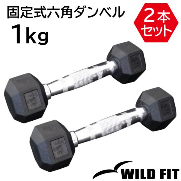 固定式 六角ダンベル 1kg 2本セット / WILD FIT ヘクス 六角 ヘキサゴン ダンベル ヘックスダンベル 筋トレ トレーニング 自宅
