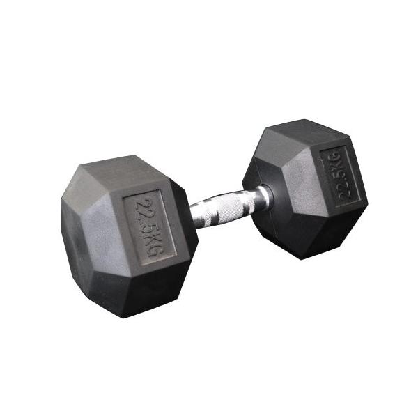 WILD ダンベル 22KG WILD FIT（ワイルドフィット） 固定式 ダンベル 22kg WF / 22キロ ジム