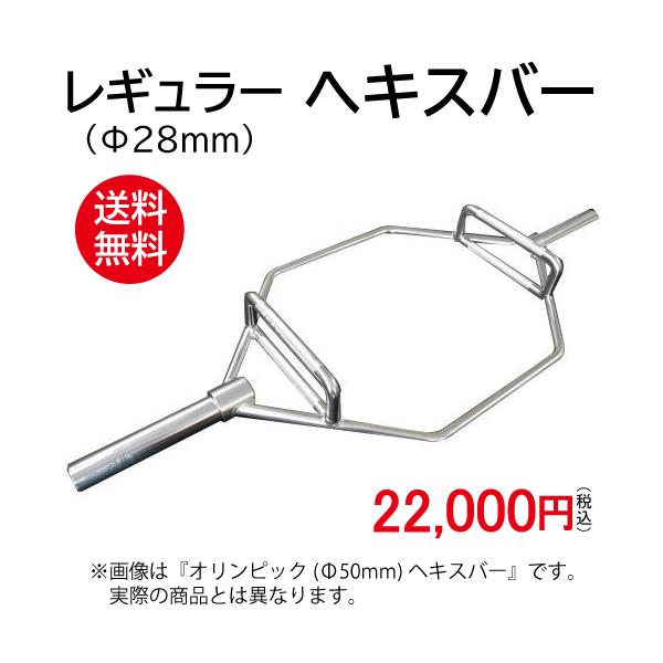 WILD FIT レギュラー ヘキスバー カラー無し / 径28mm ヘックス WILD FIT レギュラー ヘキスバー カラー無し / 径28mm ヘックス