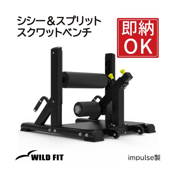 WILD FIT（ワイルドフィット） シシー＆スプリットスクワットベンチ