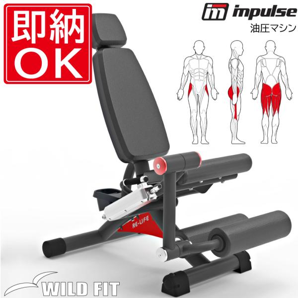 レッグエクステンション カール トレーニングの人気商品・通販 レッグエクステンション カール トレーニングの人気商品・通販