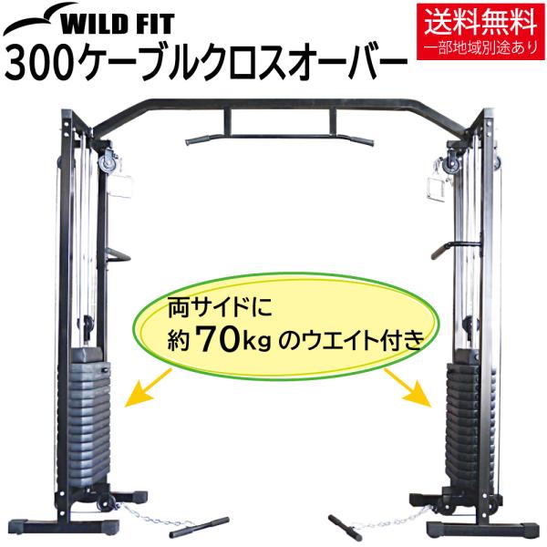 ワイルドフィット 300ケーブルクロスオーバー 代金引換不可商品 / ラック ケーブルクロス トレーニングマシン ケーブル運動 パワーラック HYROX
