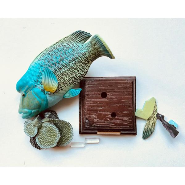 【商品概要】ネイチャーテクニカラーシリーズの原点となった「海洋I」が特装版となって復活！ 「ジンベエザメ」はなんと完全新色となってリニューアル！ 高級感のある木目調の台座に、まるで生きているかのような表情豊かで躍動感のあるポージングや、 質...