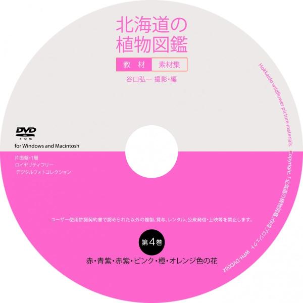 北海道の植物図鑑教材 素材集第4巻 赤 青紫 赤紫 ピンク 橙 オレンジ色の花 Buyee 日本代购平台 产品购物网站大全 Buyee一站式代购