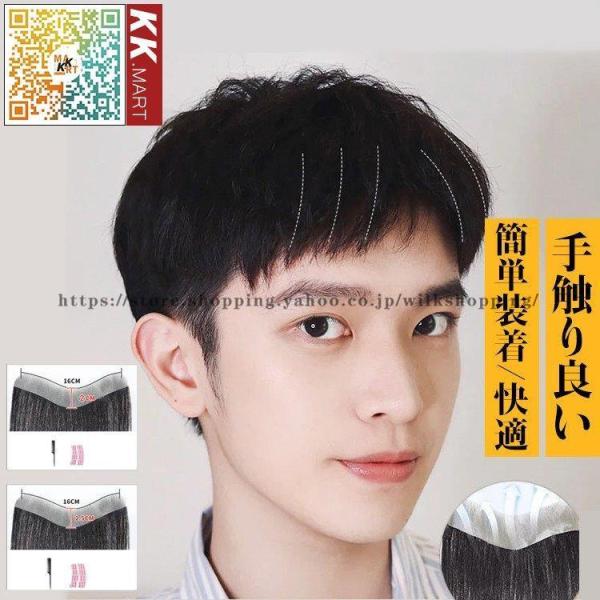 人毛100％ メンズウィッグ 部分ウィッグ ハーフウィッグ つけ毛 男性用
