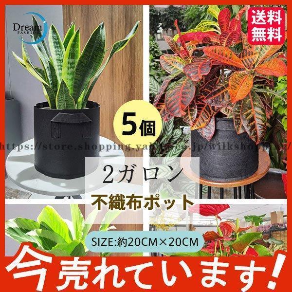 sDz|bg 2K 5 sDzv^[ 20x20 Aؔ ^ tFgv^[ y y [ tFg z  ƒ؉  搧 ؗp