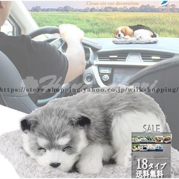 ԗp ʂ ԍڗp |Y܂ L ӂӂ |Y  L  ԗp  ԓC  J[ANZT[ 