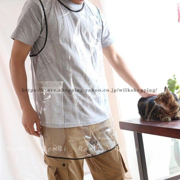 Gv  傫TCY k JtF H dp ƒp Lb`
